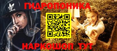 mdpv Дубна