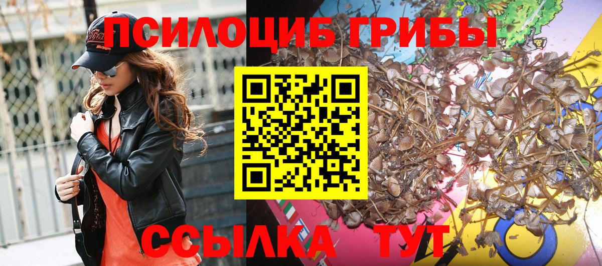 Псилоцибиновые грибы прущие грибы  Псилоцибиновые грибы ЛСД  Вход с VPN  Можайск 