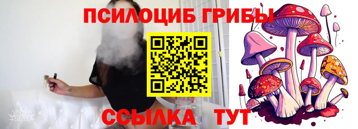 Галлюциногенные грибы Psilocybe Можайск